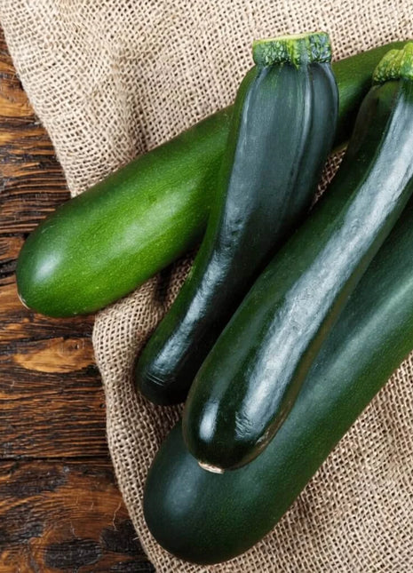 Dark Green Zucchini Summer Squash – 25 Seeds