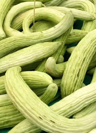 Armenian Yard-Long Cucumber – 30 Seeds