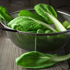 Collection image for: Chinese Cabbage