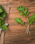 Mizuna Early Mustard – 100 Seeds