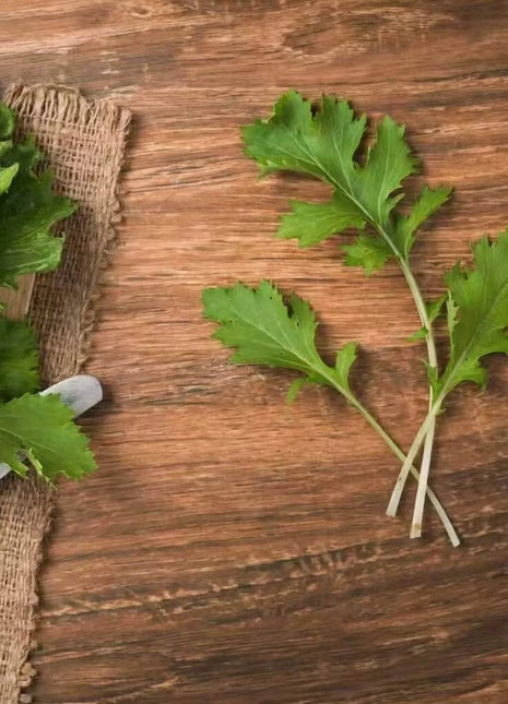Mizuna Early Mustard – 100 Seeds