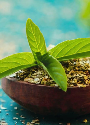 Holy Tulsi Basil – 250 Seeds