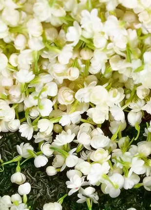 🌸 Last Day 49% OFF – Winter-Friendly Hanging Jasmine—Dreamy Indoor Flower🌿❄️