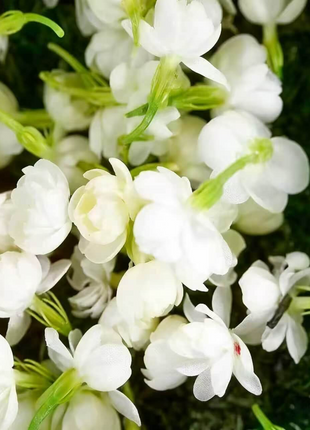 🌸 Last Day 49% OFF – Winter-Friendly Hanging Jasmine—Dreamy Indoor Flower🌿❄️