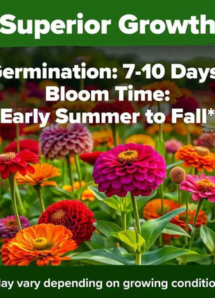 🔥HOT SALE 49% OFF-Zinnia Seeds - Pure Seeds - No Filler - USA Heirloom Flower Seeds