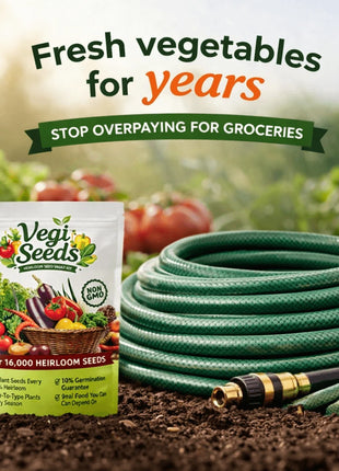 Vegetable Seed Vault Kit