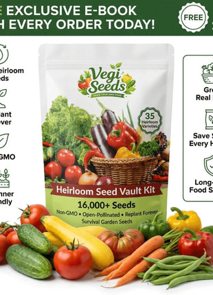 Vegetable Seed Vault Kit