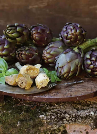 Purple Romagna Artichoke – 25 Seeds