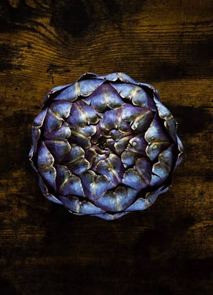 Purple Romagna Artichoke – 25 Seeds