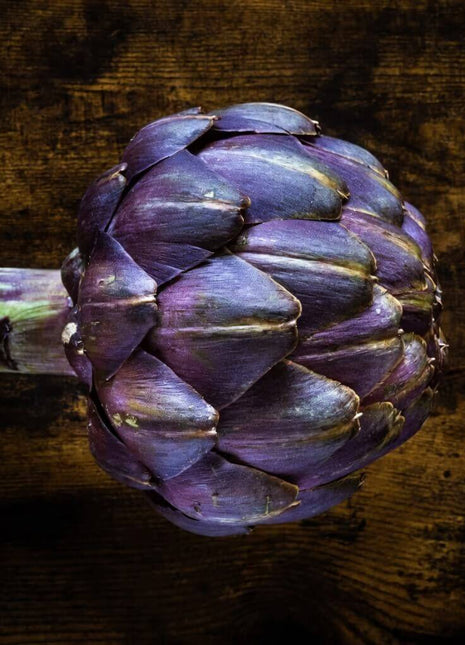 Purple Romagna Artichoke – 25 Seeds