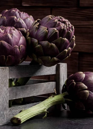 Purple Romagna Artichoke – 25 Seeds