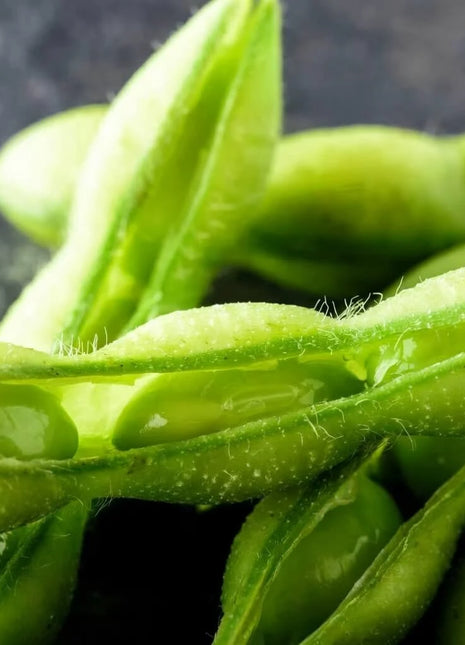 Be Sweet Edamame Soybean (Bush) – 20 Seeds