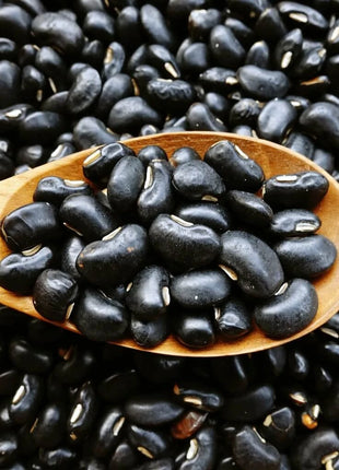 Black Coco Bean (Bush) – 30 Seeds