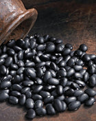 Black Coco Bean (Bush) – 30 Seeds
