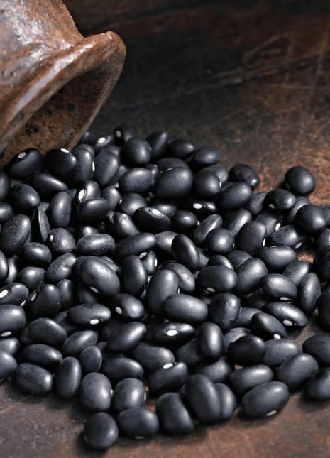 Black Coco Bean (Bush) – 30 Seeds