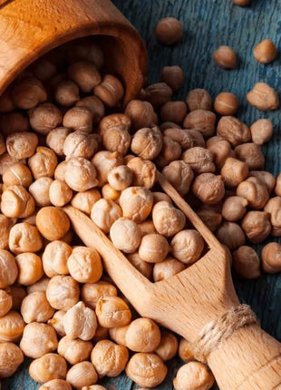 Garbanzo Bean – Chickpea – 20 Seeds