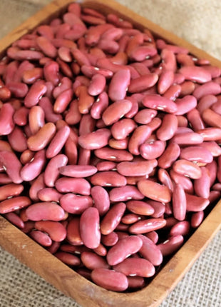 Light Red Kidney Bean (Bush) – 20 Seeds