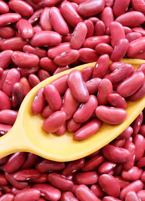 Light Red Kidney Bean (Bush) – 20 Seeds