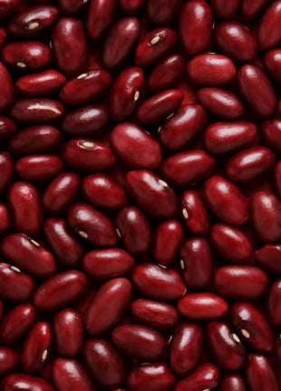 Dark Red Kidney Bean (Bush) – 20 Seeds