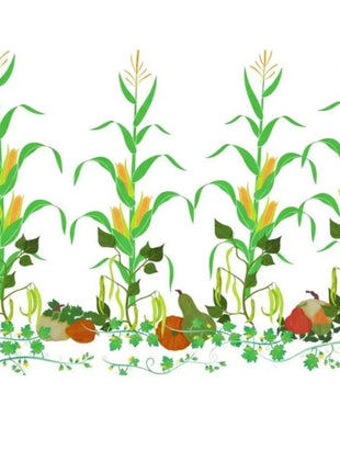 Three Sisters Seed Collection – Native American Farming – Corn, Bean, Squash