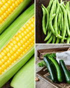 Three Sisters Seed Collection – Native American Farming – Corn, Bean, Squash