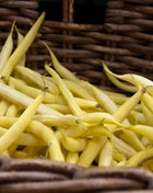 Gold Rush Bean (Bush) – 30 Seeds