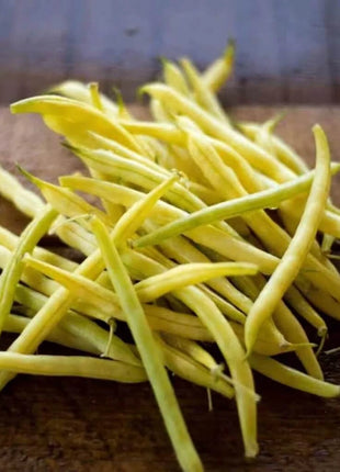 Gold Rush Bean (Bush) – 30 Seeds