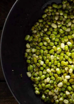Mung Beans Sprout – 500 Seeds