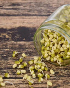 Mung Beans Sprout – 500 Seeds