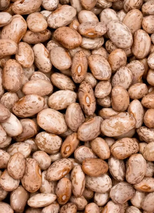 Pinto Bean – 20 Seeds