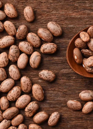 Pinto Bean – 20 Seeds