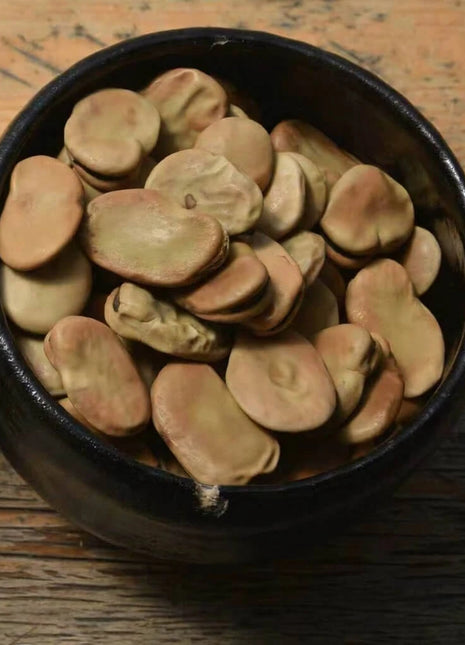Broad Windsor Fava Bean – 10 Seeds