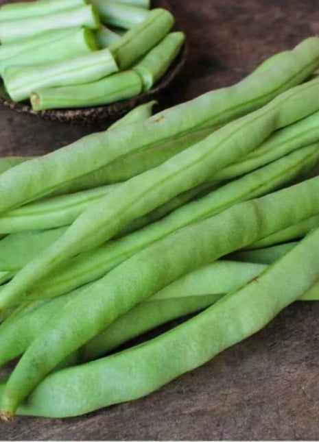 Kentucky Wonder Bean (Pole) – 50 Seeds