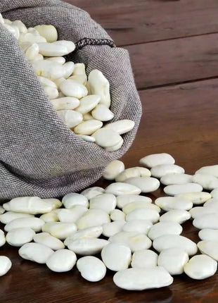 White Dixie Butterpeas Lima Bean (Bush) – 15 Seeds
