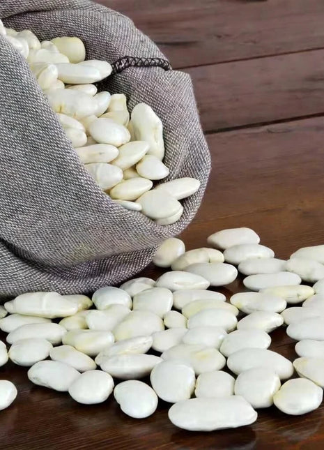 White Dixie Butterpeas Lima Bean (Bush) – 15 Seeds