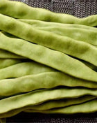 Roma II Bean (Bush Bean) – 30 Seeds