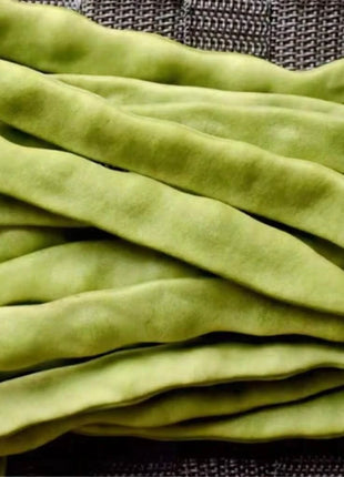 Roma II Bean (Bush Bean) – 30 Seeds