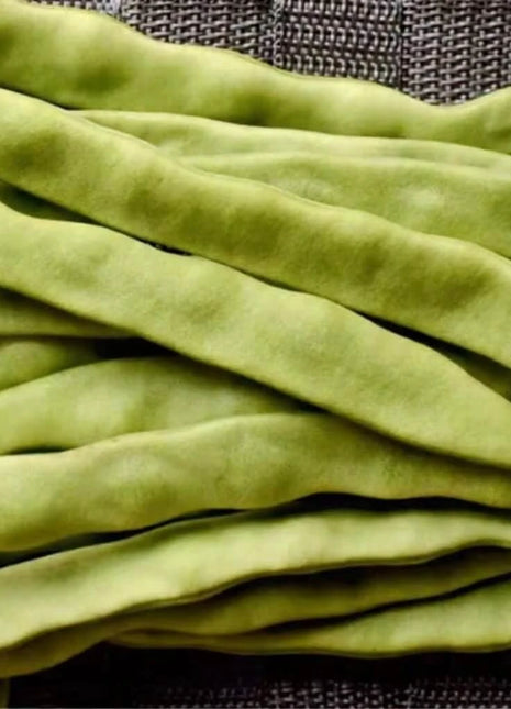 Roma II Bean (Bush Bean) – 30 Seeds