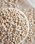 Navy Bean – 30 Seeds