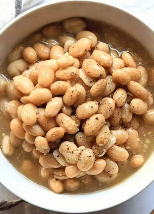 Navy Bean – 30 Seeds