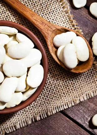 King of the Garden Lima Bean (Pole) – 15 Seeds