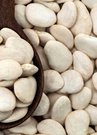 King of the Garden Lima Bean (Pole) – 15 Seeds