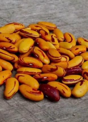 Tiger's Eye Bean (Bush) – 30 Seeds