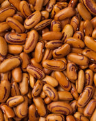 Tiger's Eye Bean (Bush) – 30 Seeds
