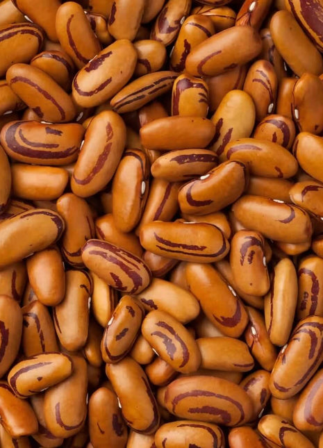Tiger's Eye Bean (Bush) – 30 Seeds