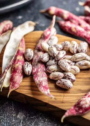 Vermont Cranberry Bean (Bush) – 20 Seeds