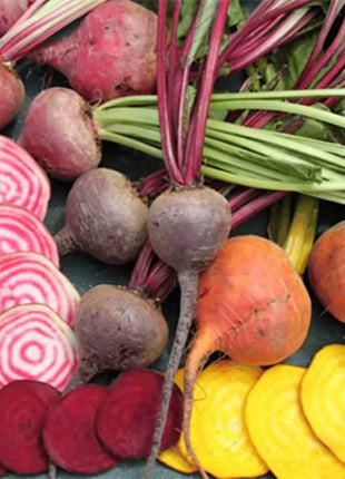 Gourmet Blend Beet – 50 Seeds