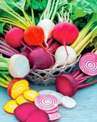 Gourmet Blend Beet – 50 Seeds