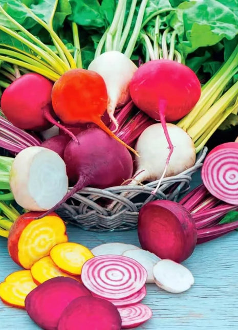Gourmet Blend Beet – 50 Seeds