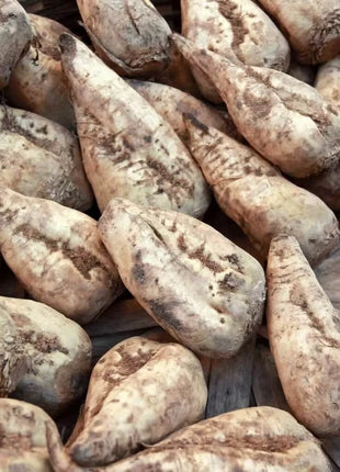 Sugar Beet – 50 Seeds
